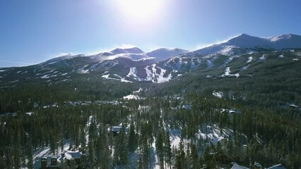 Poster - Aerial view of houses between trees in snowy forest and mountain in the background