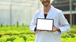 © Prathankarnpap - Cropped image of male researcher holding digital tablet with white empty display in greenhouse