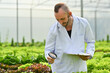 © Prathankarnpap - Caucasian male scientist with magnifying glass observing organic vegetable in industrial hydroponic greenhouse
