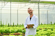 © Prathankarnpap - Portrait of caucasian male scientists holding clipboard standing among vegetable in industrial greenhouse