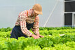 © Prathankarnpap - Shot of young farmer taking care of plants and harvesting fresh vegetables from the greenhouse