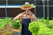 © Prathankarnpap - Portrait of successful farmer standing in hydroponics greenhouse with fresh organic vegetables during harvest
