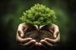 Hands holding green tree. environmental concept. generative ai