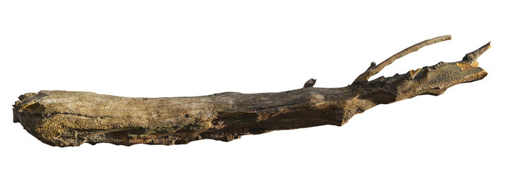 driftwood, old branch isolated on white transparent background