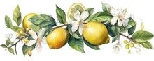 Citrus Blossom Watercolor Illustration  Hand Drawn Botanical Design, Generative AI