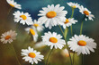 Ravishing scenery of nature background, closeup multicolor and blooming daisy bouquet in meadow field during springtime illustration in wide view by Generative AI.