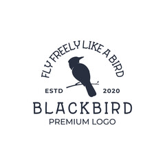 Wall Mural - Black bird logo retro vintage hipster design vector illustration template