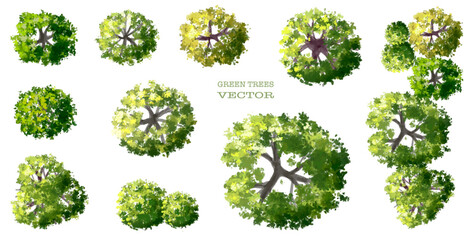 Wall Mural - vector watercolor of green tree top view isolated on white background for landscape layout plan and 