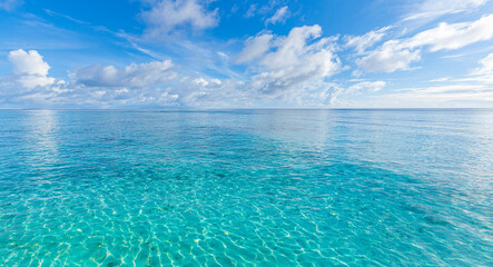 Wall Mural - crystal clear sea water bay. pristine ocean lagoon sunny cloudy sky, idyllic relaxing seascape. tran