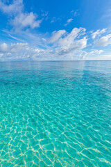 Wall Mural - crystal clear sea water bay. pristine ocean lagoon sunny cloudy sky, idyllic relaxing seascape. tran