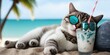 Cat is on summer vacation at seaside resort and relaxing rest on summer beach of Hawaii. distinct generative AI image.