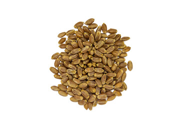 Wall Mural - Seeds wheat isolate on white background. Selective focus.