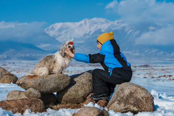 Wall Mural - Child with shih tzu dog on mountains background