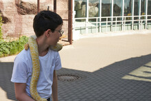 A Teenage Child With An Albino Royal Python Around His Neck On The Street.