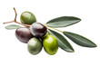 green olives with leaves on transparent background