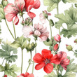 Seamless Pattern of Geranium Flowers. AI generated Illustration.