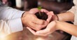© M Bam/peopleimages.com - Plant in people or partner hands for business growth, eco friendly development and sustainability in green startup. Woman and man palm, teamwork and sapling soil and sustainable investment or support