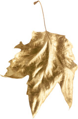 Poster - Autumn gold concept. Fall gold leaves pattern on background. Flat lay