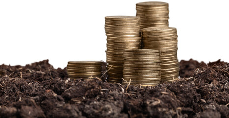 Poster - Farmers' hands are watering trees on top of coins stacked.