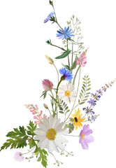 Poster - decorative wild flowers composition