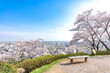 桜と街が見える丘のベンチ　栃木県足利市　織姫神社