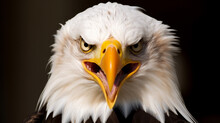 American Bald Eagle, Generative AI