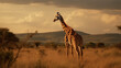 giraffe on the background of the African savannah, hot day, animals of Africa. ai generative