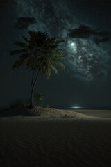 Wall Mural - A beautiful bioluminescent night in a paradise open beach