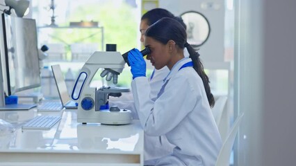 Wall Mural - Laboratory, science and woman for microscope analysis or study virus sample in pharma lab. Female scientist expert, data analytics or medical research to adjust lens for innovation and development