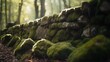  a mossy stone wall in a forest with sunlight shining through the trees and leaves on the ground and the mossy rocks on the ground.  generative ai