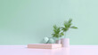 A green wall with a potted palm tree and a podium in the middle summer product presentation