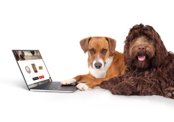 dog ordering products online while using laptop computer with paw. two dogs with mockup shopping car