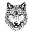 Wolf head sketch hand drawn in doodle style illustration