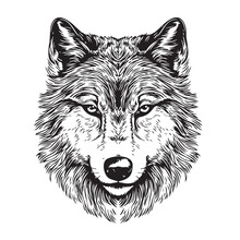 Wolf Head Sketch Hand Drawn In Doodle Style Illustration
