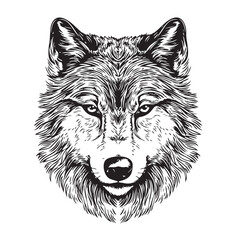 Poster - Wolf head sketch hand drawn in doodle style illustration