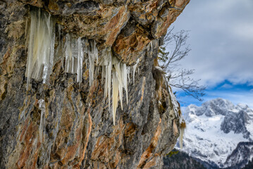 Alpine rock wall with hanging icicles in Austria during winter