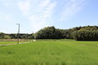 © 藤田 豪 - 春の田園風景
