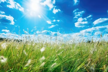 Poster - sunlit field of grass with a beautiful sky in the background. Generative AI