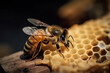 Bee On The Honeycomb In A Hive, Making Honey, Wild Insect Life, Made Using Generative Ai