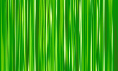 Grass background. Nature green texture from long vertical blades of grass, natural abstract striped wallpaper of stripes of green shades. Eco concept. Design of Earth Day banners and flyers