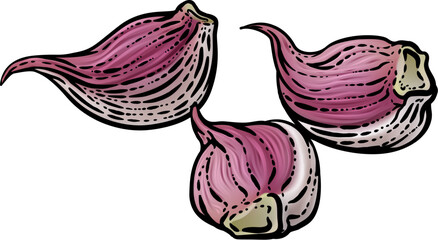 Wall Mural - Garlic vegetable illustration in a vintage retro woodcut etching style.