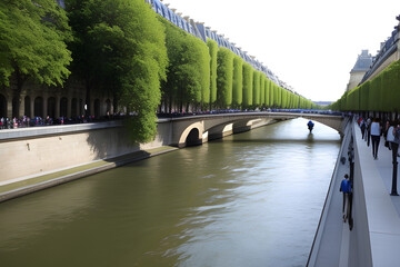 Wall Mural - the Seine River