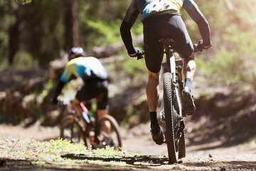 Poster - Mountain biking men riding on bike in summer mountains forest landscape