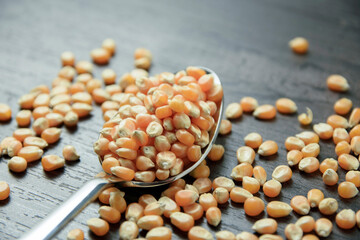 Poster - dry corn kernels on metal spoon