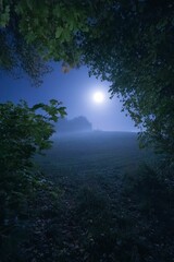 Wall Mural - Bright moon light in a hill with trees around