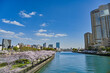 綺麗な青空背景に天満橋から見た大川沿いの満開の桜並木