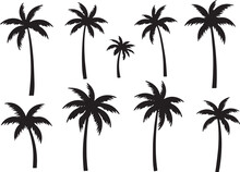 Black Palm Tree Set Vector Illustration On White Background Silhouette Art Black White