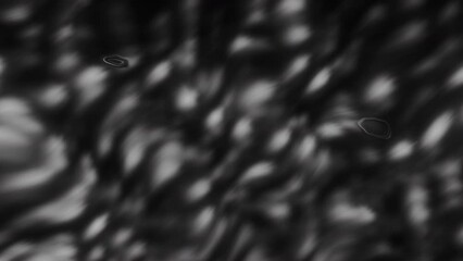 Poster - Abstract animation of spots with raindrops on black background. Motion. Moving blurry spots of rain on black background. Animation of flashing spots with effect of abstract rain