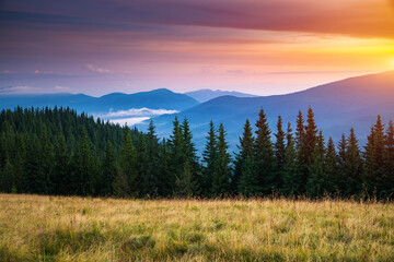 Wall Mural - Utterly spectacular view of the sunset over the mountain ranges. Carpathian mountains, Ukraine.