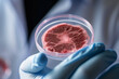 Researcher Holding Meat Sample In Petri Dish  Generative AI